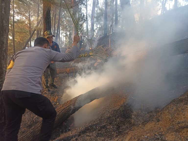 Gerak Cepat Polisi Bersama Perhutani dan Warga Padamkan Kebakaran Lahan di Trenggalek