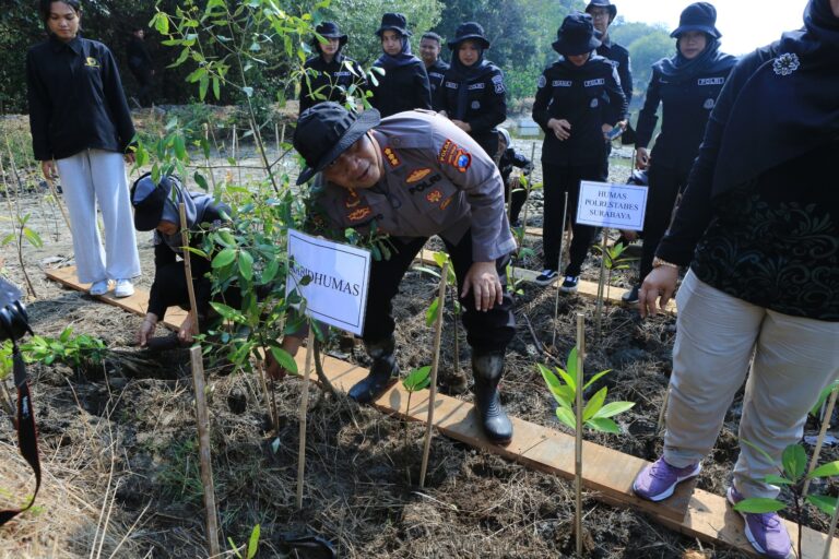 HUT Humas Polri Ke-72, Bidhumas Polda Jatim dan Jajaran Tanam Ribuan Bibit Mangrove Minimalisir Abrasi