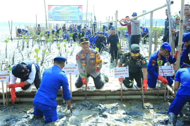 HUT Korp Brimob ke-78 dan Polairud ke-73, Kapolda Jatim Restorasi Hutan Mangrove Tanam 18.300 Bibit