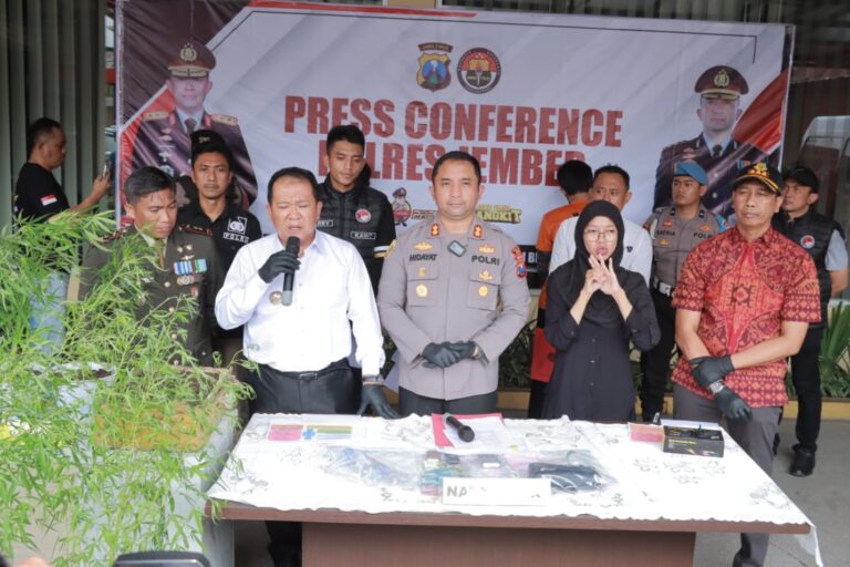 Bupati Apresiasi Polres Jember yang Berhasil Ungkap Tanaman Ganja di Rumah Warga