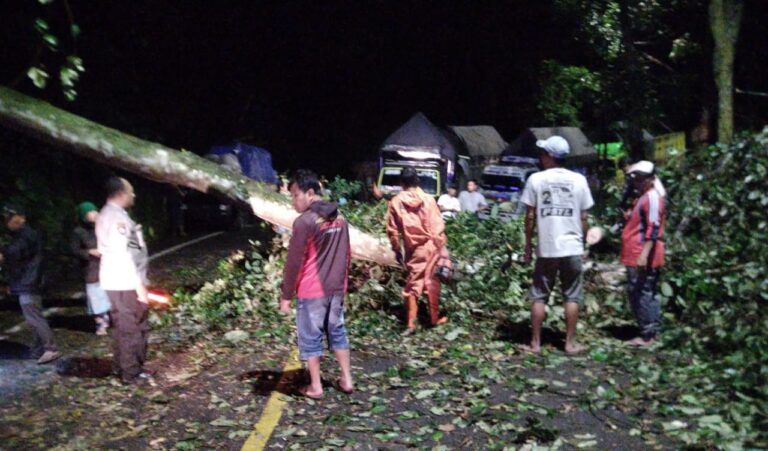 Gercep Polisi Bersama Warga Tangani Pohon Tumbang, Jalur Nasional Lintas Gumitir Kembali Lancar