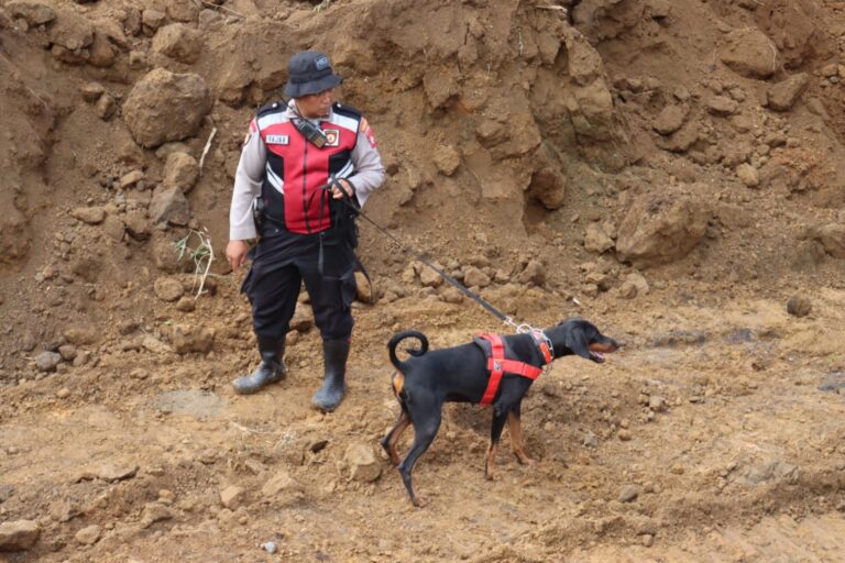 Polres Lumajang Kerahkan Unit K9 Cari Korban Tertimbun Longsor di Lumajang