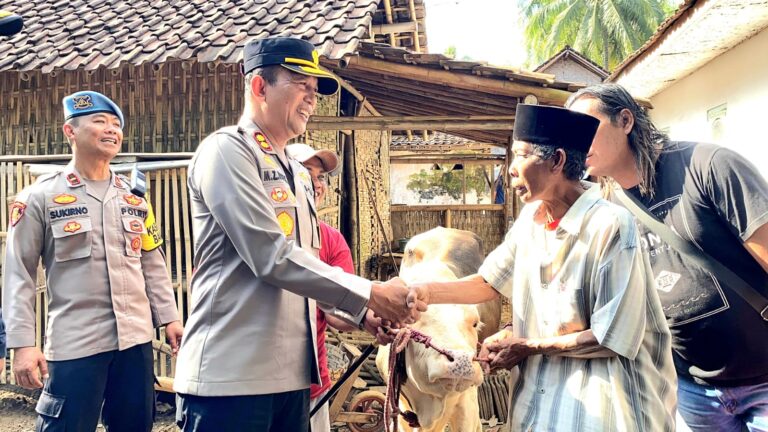 Polisi Berhasil Ungkap Komplotan Pencuri Sapi di Lumajang,Dua Tersangka Diamankan