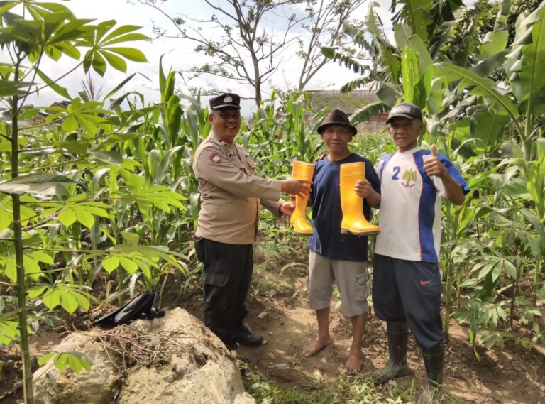 Pak Bhabin Penggerak Ketahanan Pangan: Aksi Inspiratif Manfaatkan Lahan Kosong dan Kepedulian Aiptu Pudji Untuk Petani