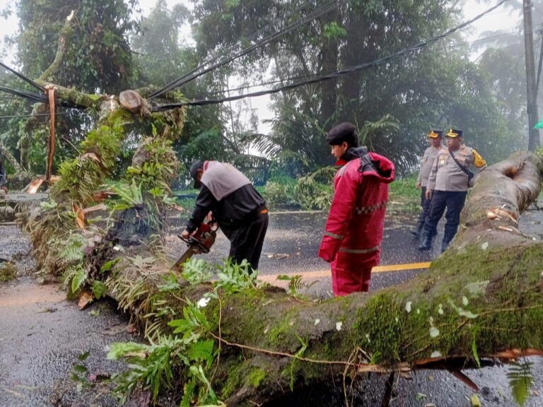 Akses Jalur Medan-Brastagi Terputus, TNI-Polri Bersinergi Lakukan Evakuasi