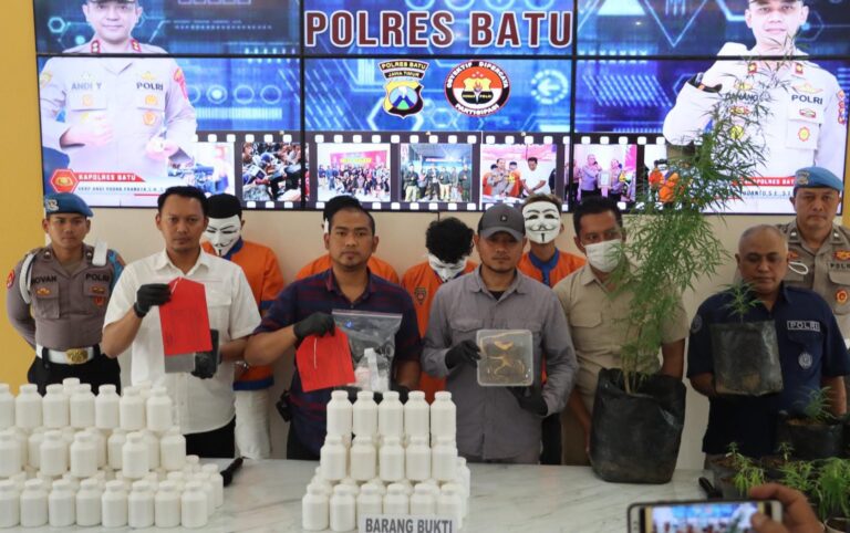 Polres Batu Berhasil Amankan Tersangka Penanam Pohon Ganja