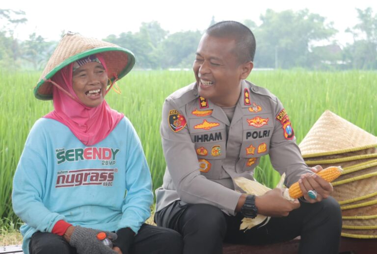 Usai Curhat ke Kapolres Mojokerto Petani Jagung Lega Hasil Panen Diserap Bulog Sesuai HPP