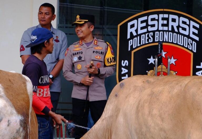 Polres Bondowoso Berhasil Temukan dan Kembalikan 3 ekor Sapi yang Hilang Pemilik Tersenyum Riang