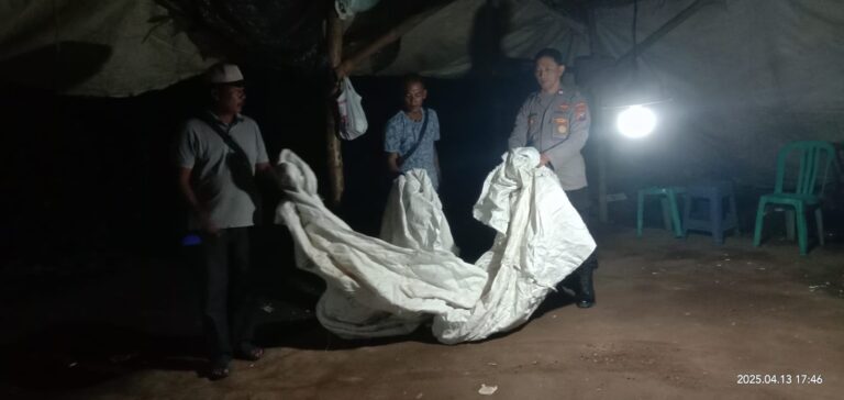 Berantas Perjudian Polisi Bongkar Arena Sabung Ayam di Nganjuk