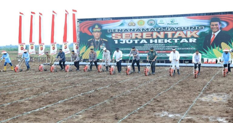 Kementan dan Polri Mantapkan Sinergi Menuju Swasembada Jagung 2025, Targetkan 4 Juta Ton Produksi Tambahan