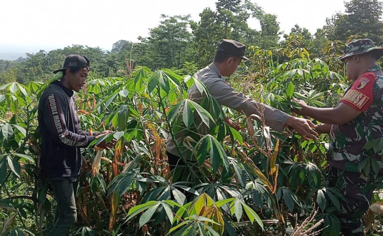 Bhabinkamtibmas Polres Pasuruan Jadi Motor Penggerak Ketahanan Pangan
