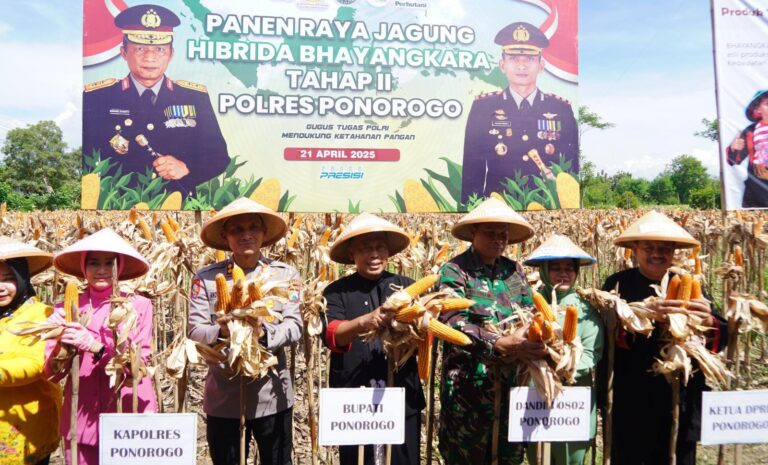 Polisi dan Warga Tani Panen Raya Jagung Hibrida Bhayangkara Tahap II di Ponorogo