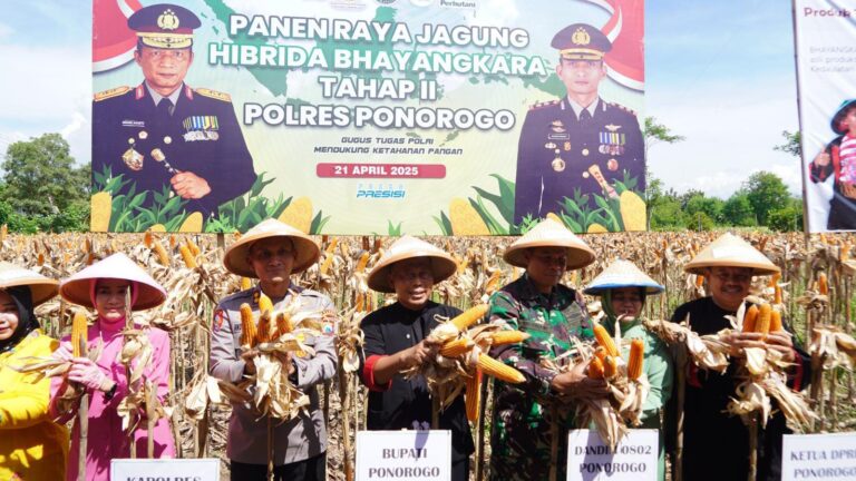 Petani di Ponorogo Puas dengan Jagung Hibrida Bhayangkara, Panen Melimpah dan Tahan Penyakit