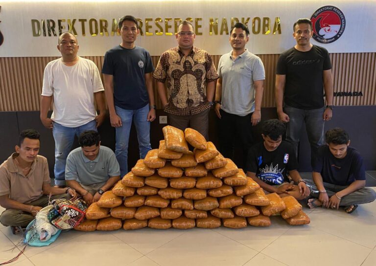 Polisi Gagalkan Peredaran 47 Kg Ganja di Sumbar, 4 Tersangka Ditangkap