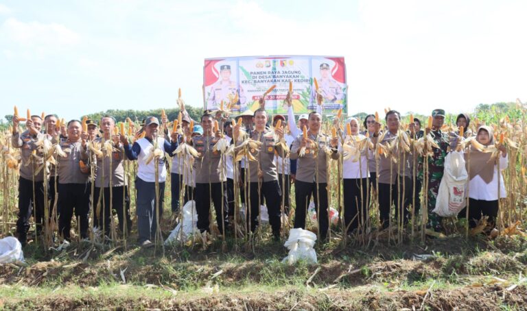 Polres Kediri Kota bersama Warga Tani Panen Raya Jagung, Wujud Nyata Dukung Swasembada Pangan