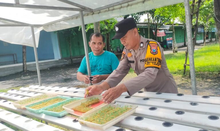 Gelorakan Swasembada Pangan, Polisi di Sidoarjo Ajak Warga Kembangkan Tanaman Hidroponik