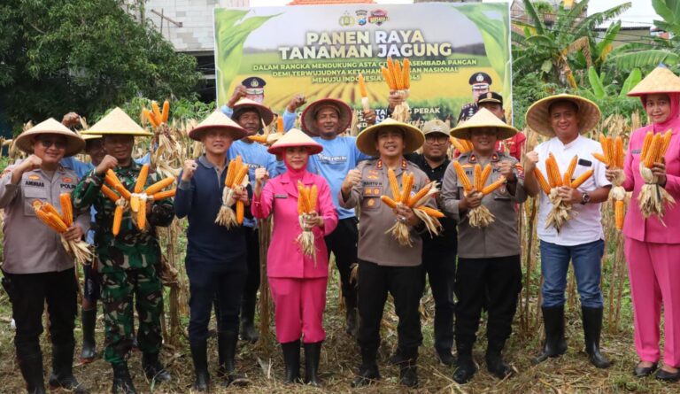 Polres Pelabuhan Tanjungperak bersama Poktan Panen Raya Jagung Tahap 7, Perkuat Ketahanan Pangan Nasional