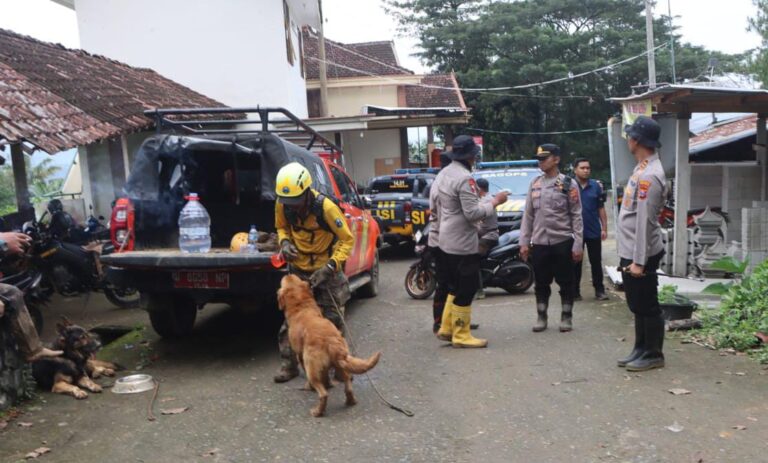 Libatkan Anjing Pelacak Polisi Kembali Cari Korban Longsor di Trenggalek
