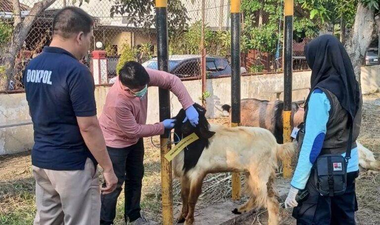 Polres Madiun Kota Datangkan Dokter Hewan Pastikan Kesehatan Hewan Kurban