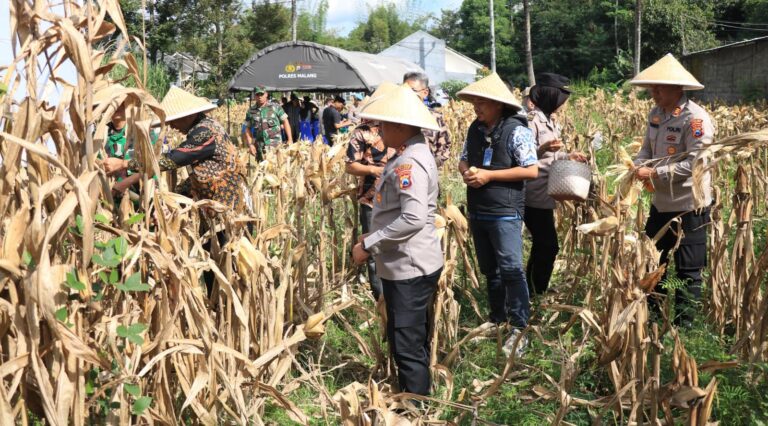 Polres Malang Panen Raya Jagung Dukung Ketahanan Pangan Nasional