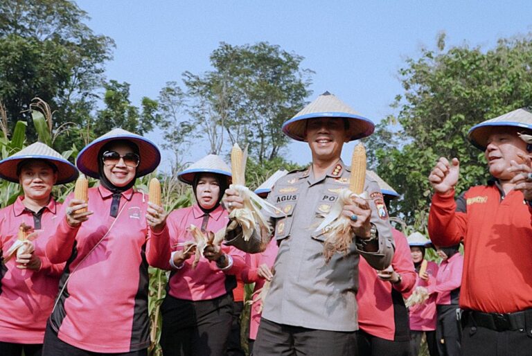 SPN Polda Jatim Gelar Panen Raya Jagung, Wujudkan Ketahanan Pangan