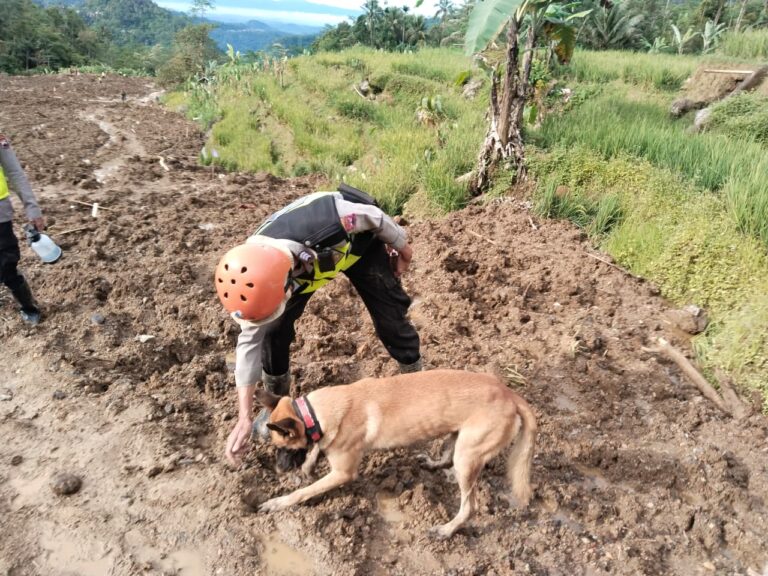 Unit K9 Polda Jateng Berhasil Deteksi Tiga Titik Jejak Korban di Lokasi Bencana Pandanarum