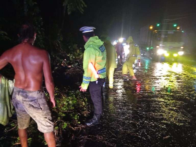 Polsek Pekutatan Gerak Cepat Tangani Pohon Tumbang di Jalur Utama Jembrana