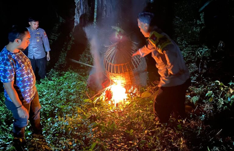 Polres Malang Kembali Bongkar Lokasi Judi Sabung Ayam di Sumberpucung