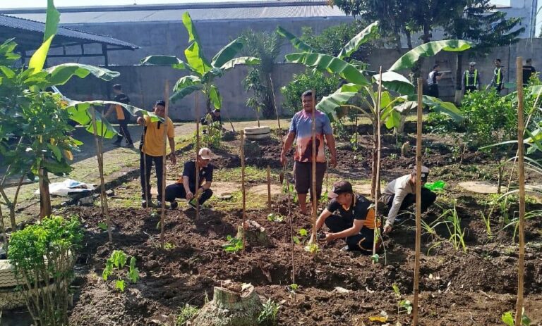 Polsek Blimbing Manfaatkan Lahan Kosong Tanam 100 Bibit Uwi Ungu yang Kaya Manfaat