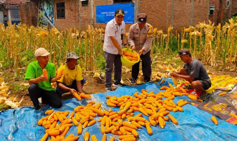 Komitmen Kawal Ketahanan Pangan Nasional, Polresta Malang Kota Terus Dampingi Petani dan Pondok Pesantren