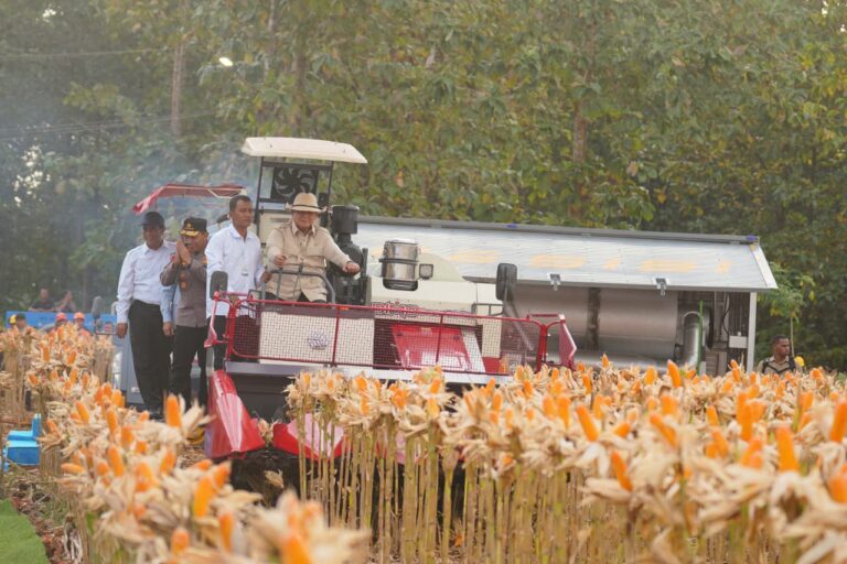 Presiden Prabowo dan Kapolri Panen Raya Jagung Nasional di Tuban Perkuat Ketahanan Pangan