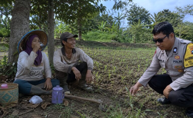 Pak Bhabin Cemorokandang Dorong Ketahanan Pangan, Pantau Lahan Jagung Warga dan Bantu Solusi